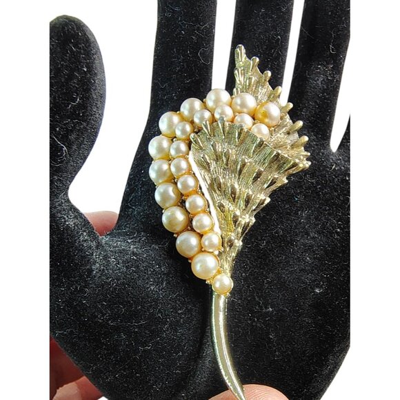 Caro Jewelry - Vintage Caro Gold Tone Faux Pearl Brooch, Fashion Jewelry Flower Shell, 3"